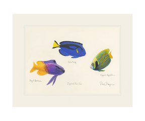 Tropical Fish Trio