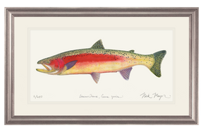 New Zealand Rainbow Trout Print