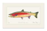 New Zealand Rainbow Trout Print
