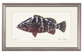 Nassau Grouper Print