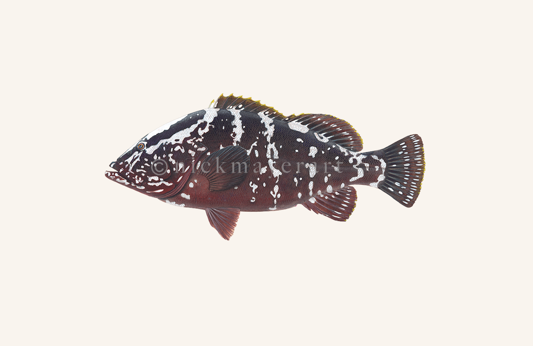 watermark