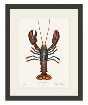 Northern Lobster I Print