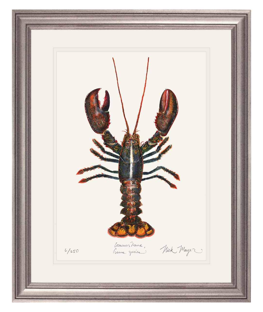 Northern Lobster I Limited Edition Print