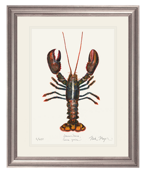 Northern Lobster I Print