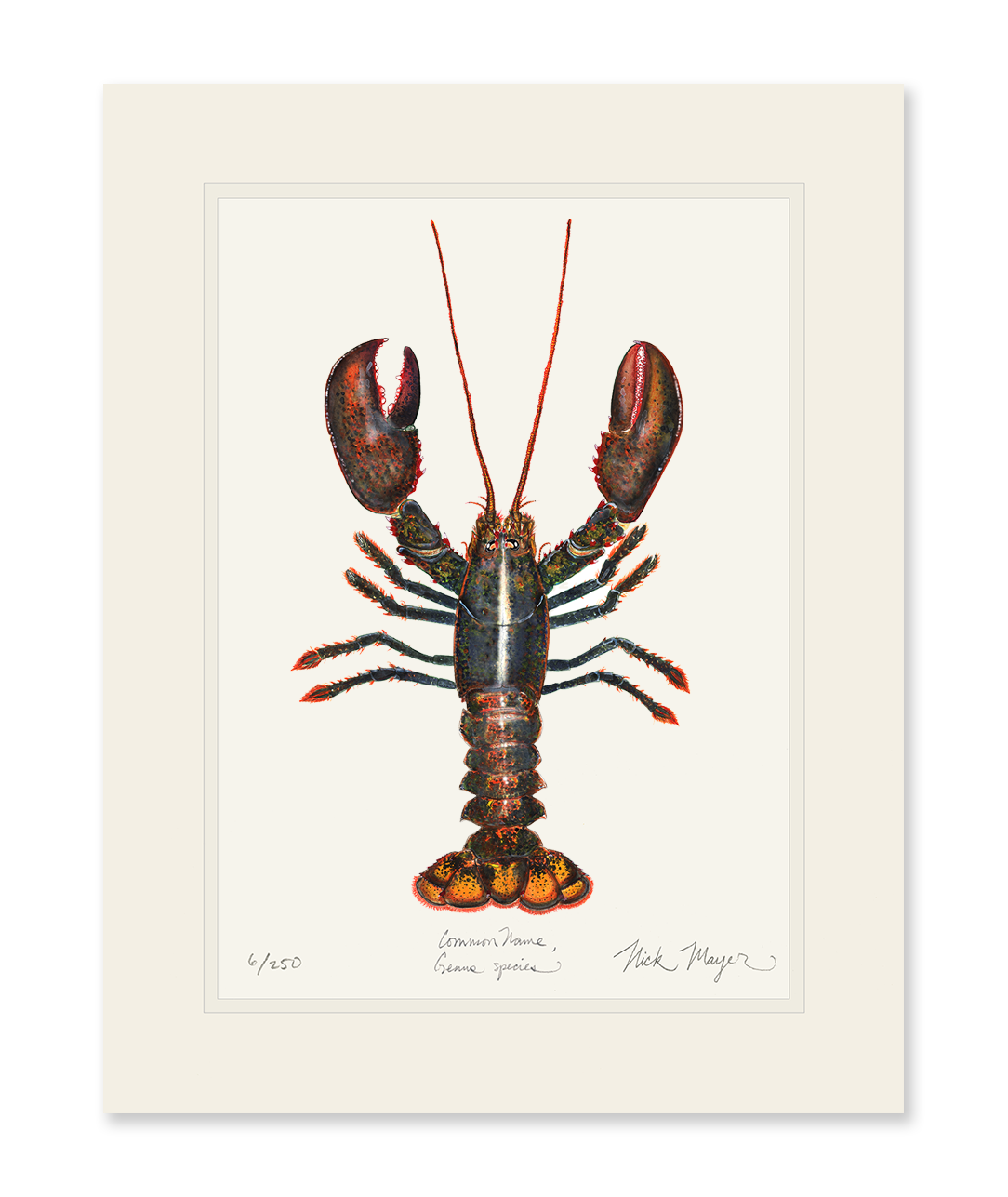 Northern Lobster I Limited Edition Print