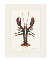 Northern Lobster I Print
