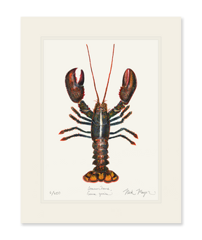 Northern Lobster I Print