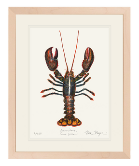 Northern Lobster I Print
