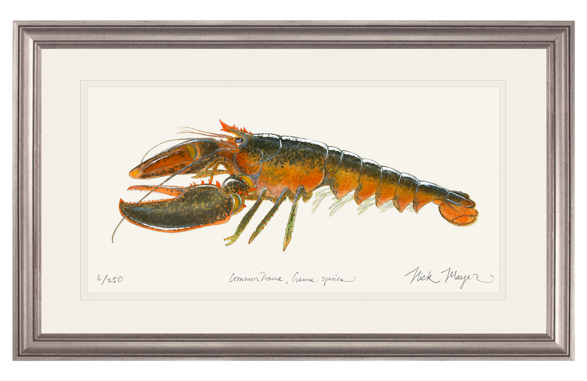 Northern Lobster II Original Watercolor Painting