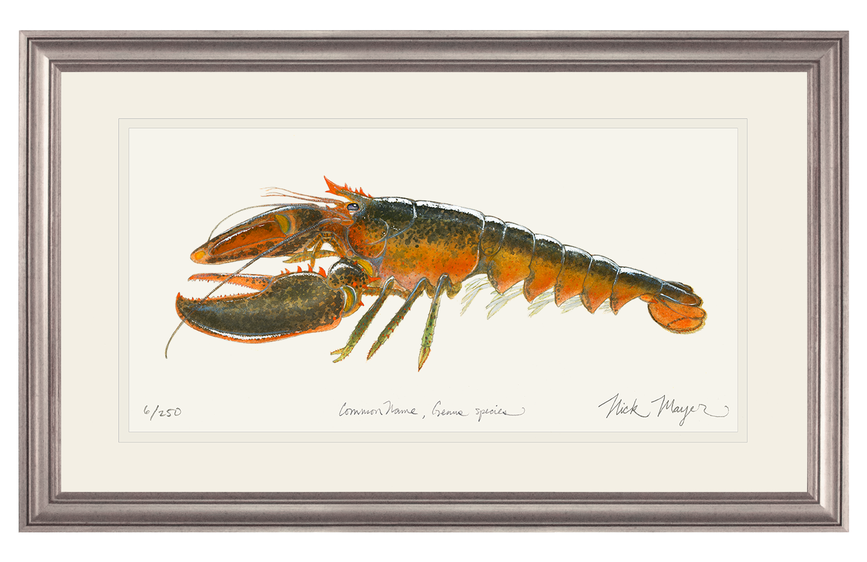 Northern Lobster II Original Watercolor Painting