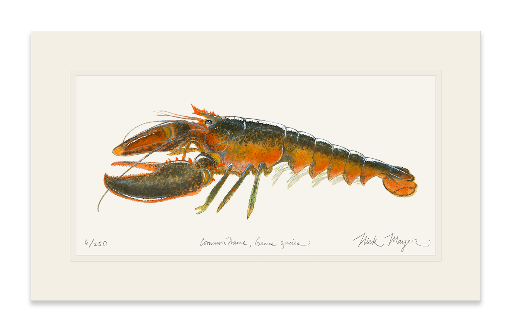 Northern Lobster II Limited Edition Print