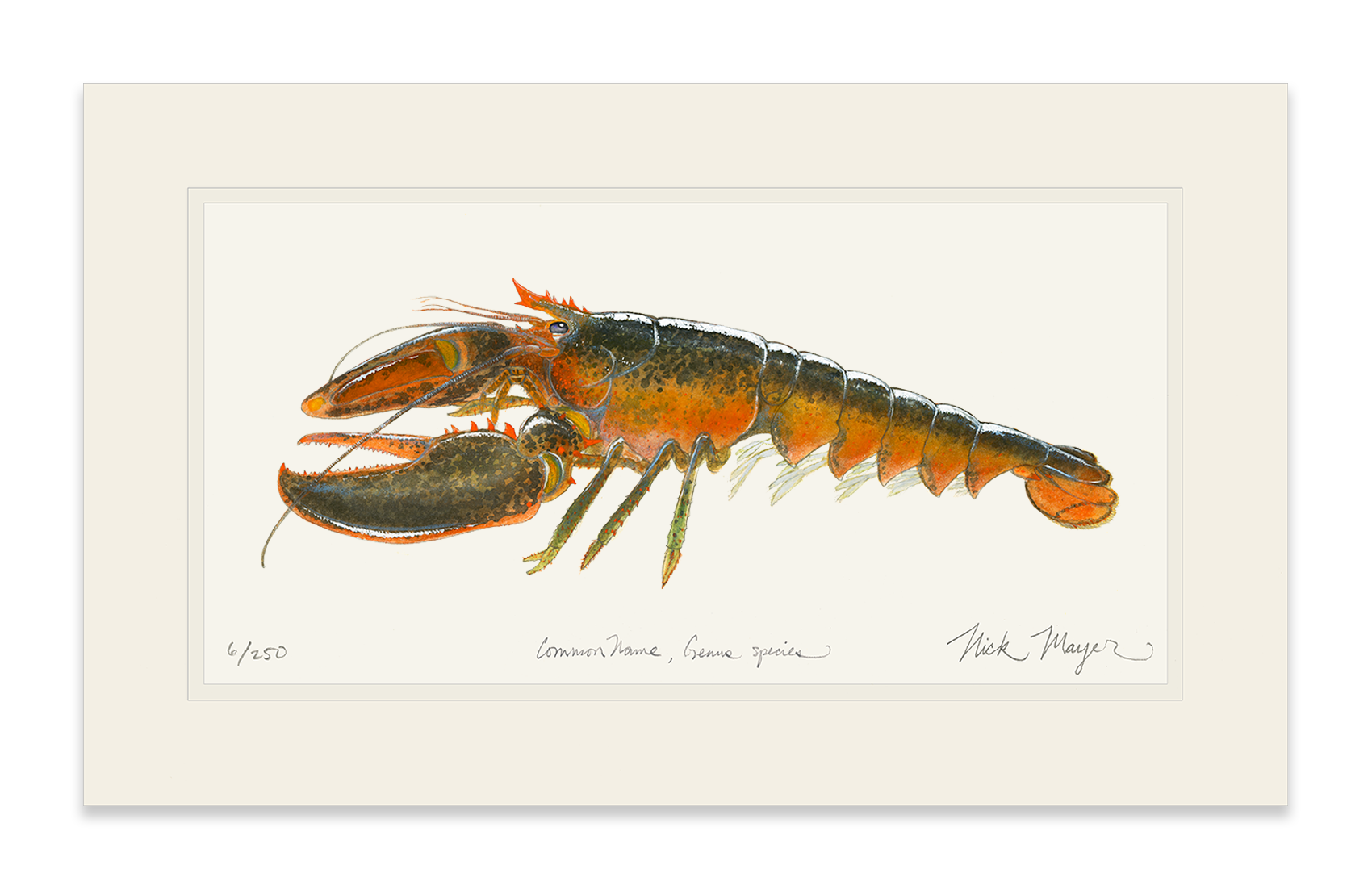 Northern Lobster II Print