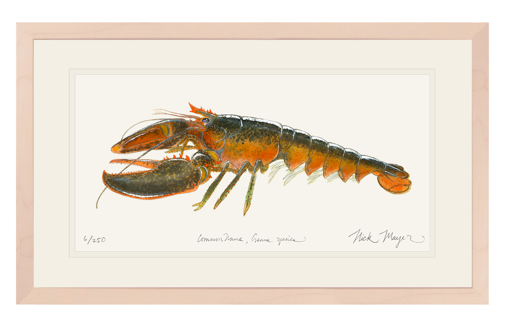 Northern Lobster II Limited Edition Print