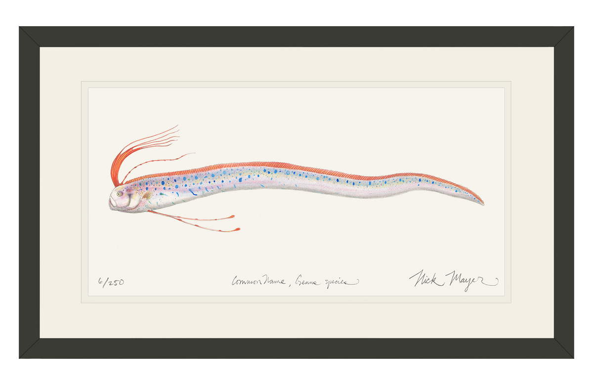 Oarfish Print