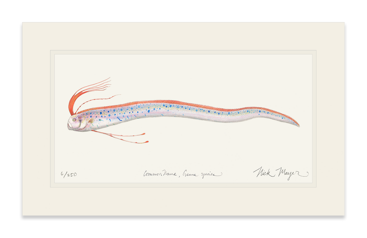 Oarfish Print