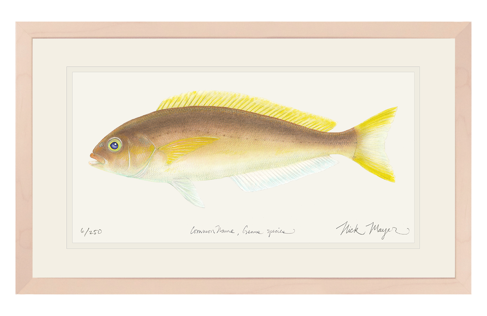 Ocean Whitefish Print