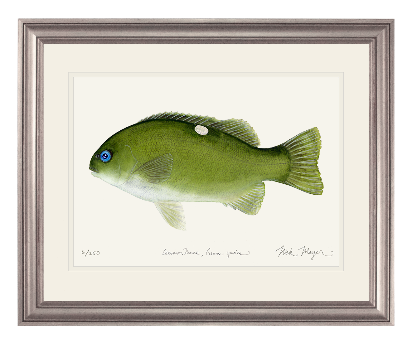Opaleye Limited Edition Print