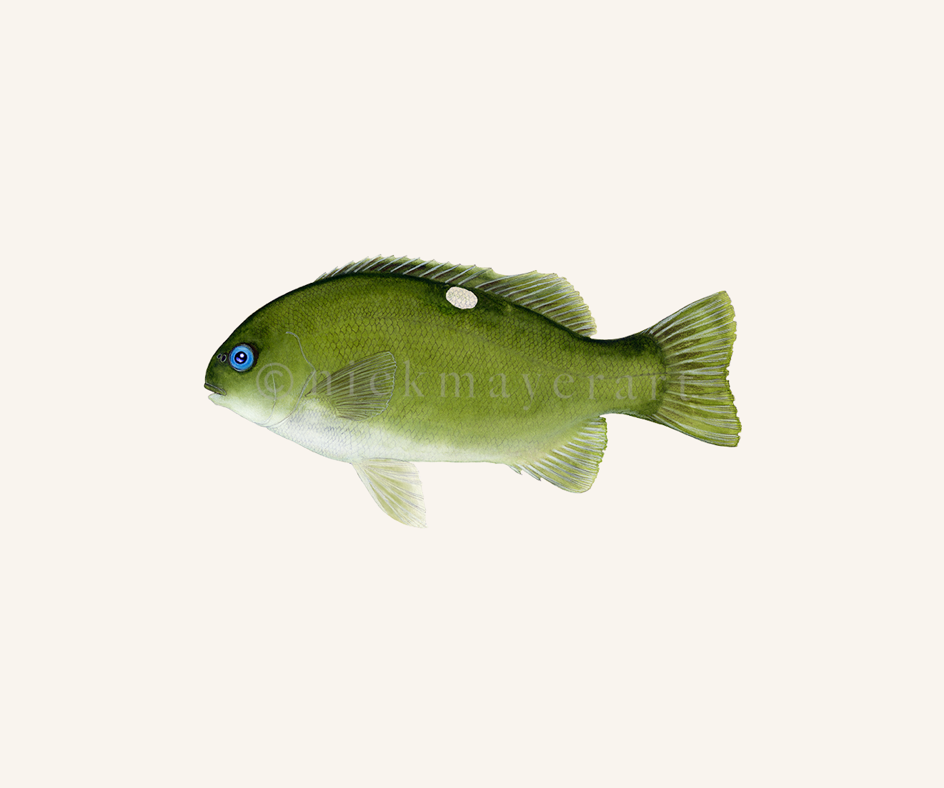 watermark