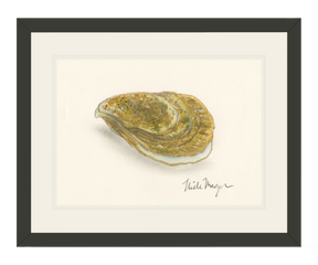 Atlantic Oyster II Print