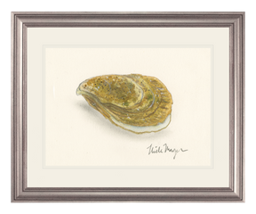 Atlantic Oyster II Print