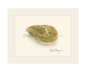 Atlantic Oyster II Print