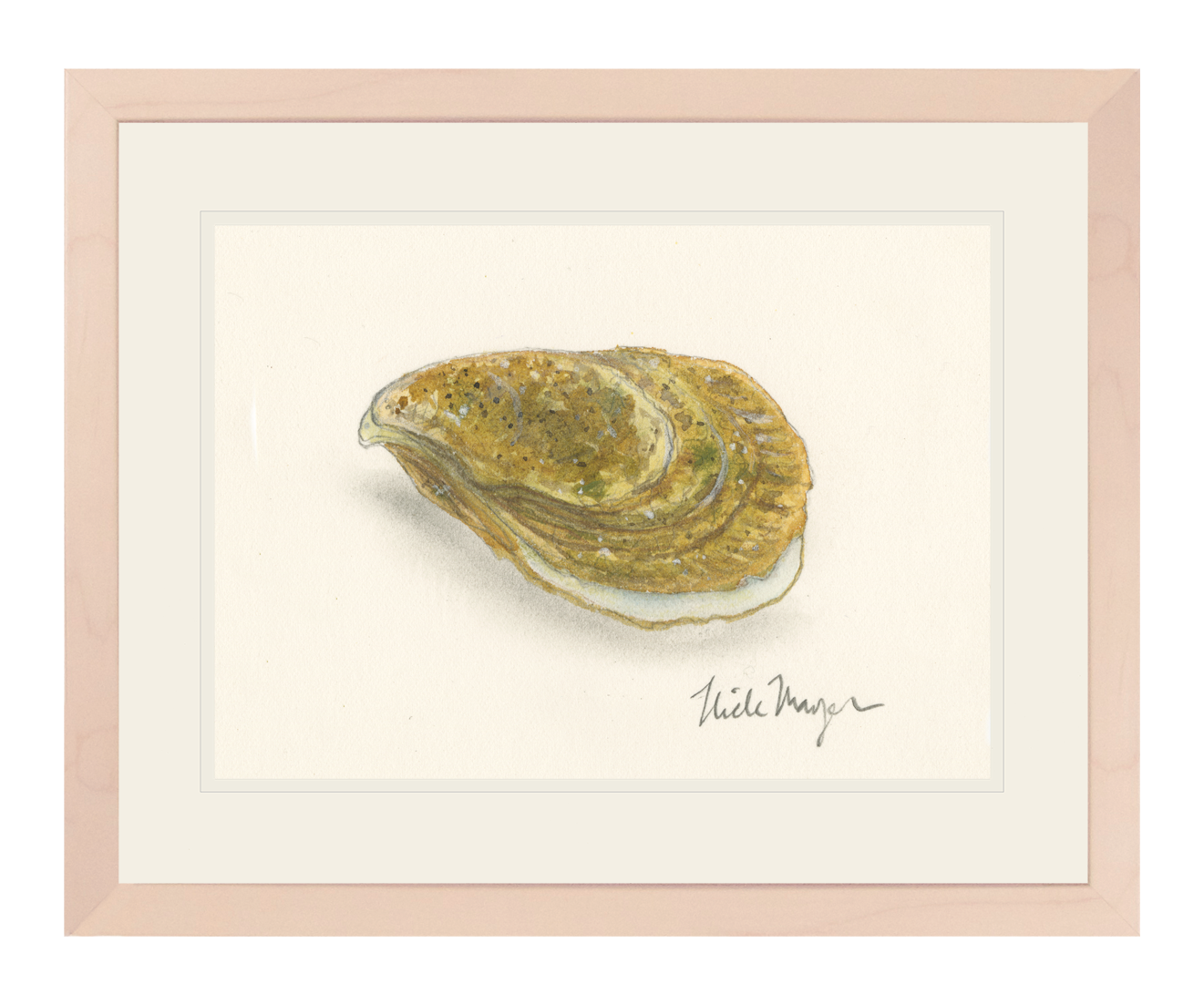 Atlantic Oyster II Limited Edition Print