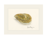Atlantic Oyster II Print