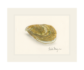 Atlantic Oyster II Print