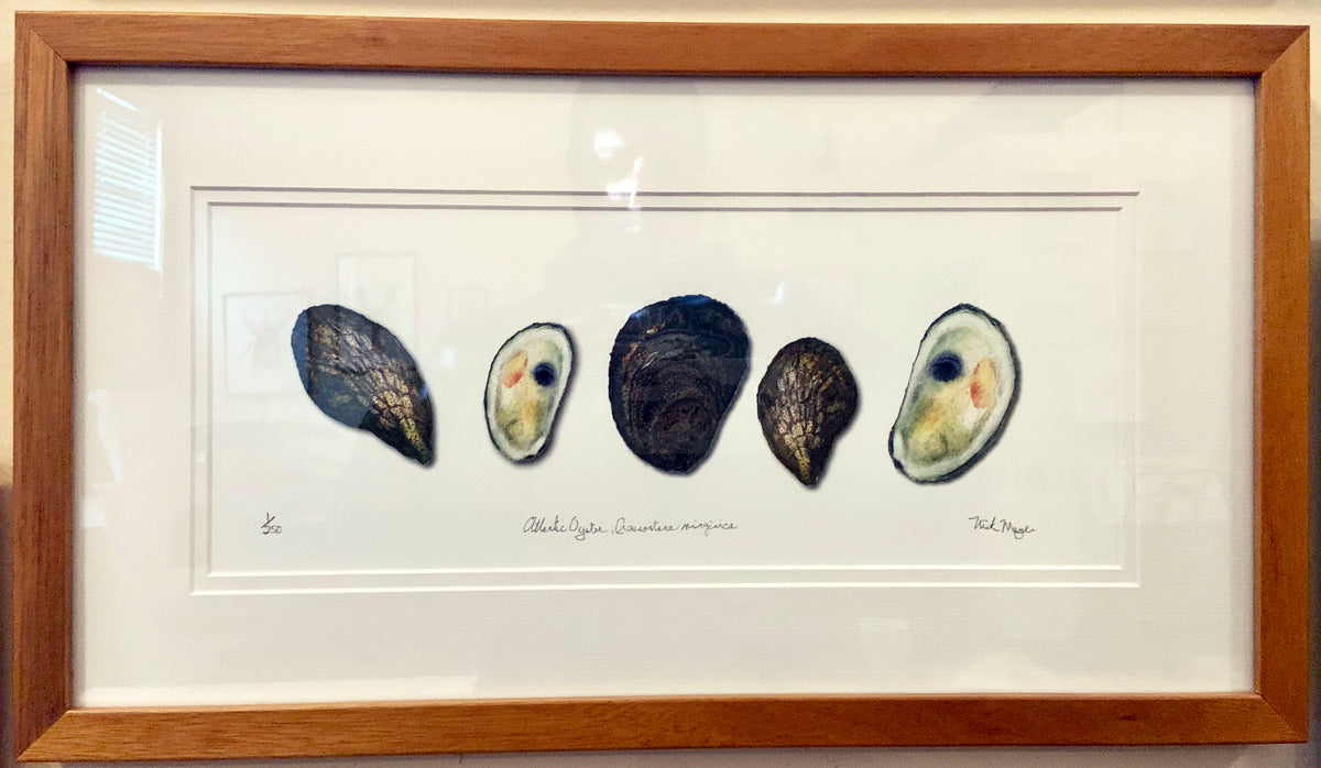 Oysters Hand Signed Framed Print