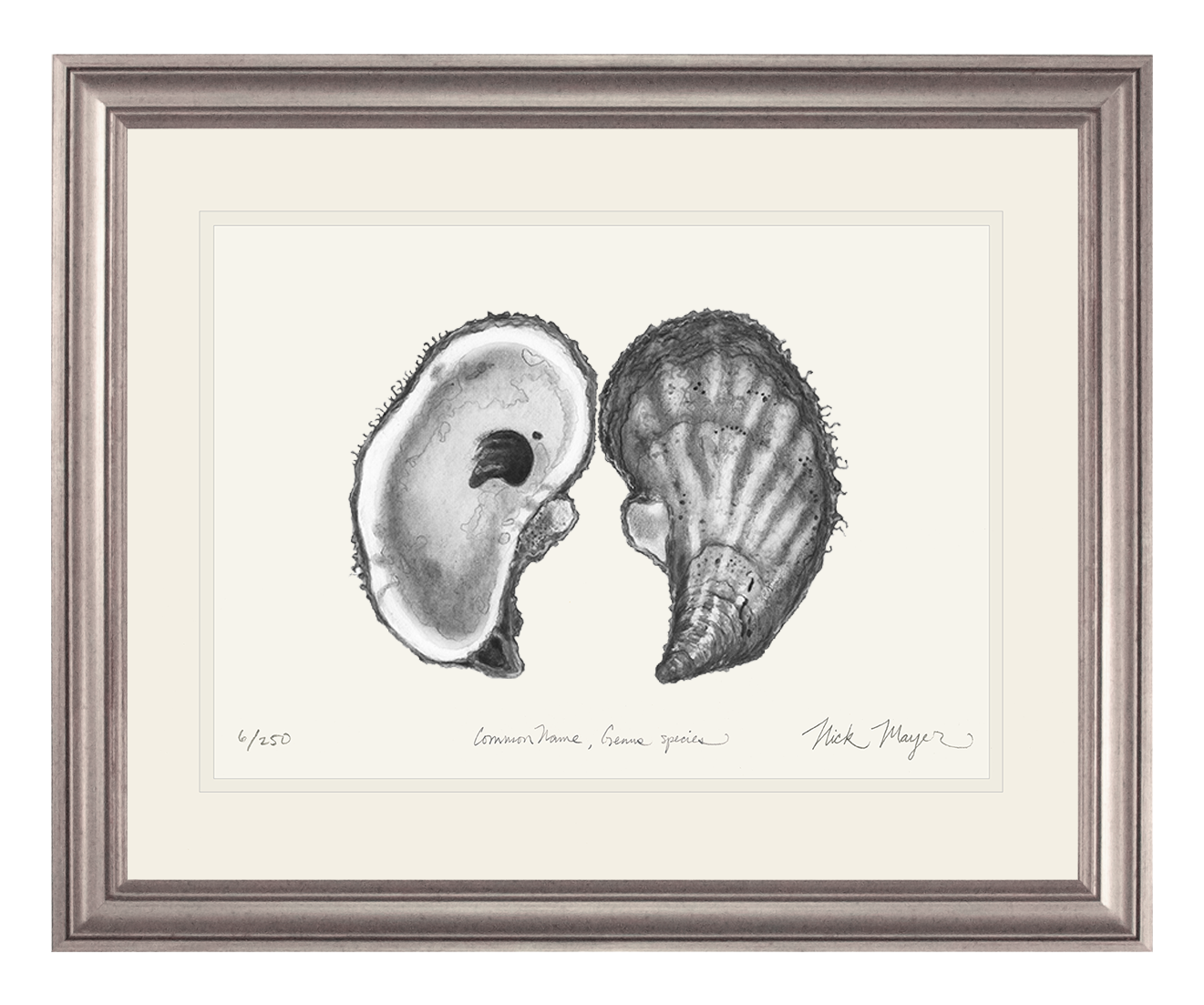 Atlantic Oyster I Limited Edition Print (B&W)