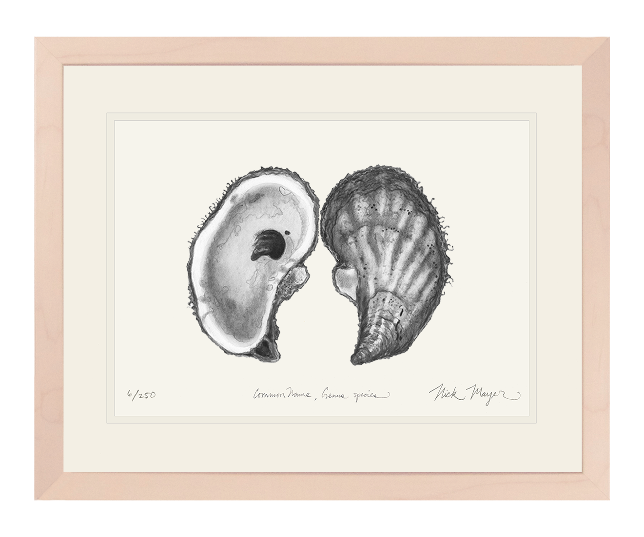 Atlantic Oyster I Limited Edition Print (B&W)