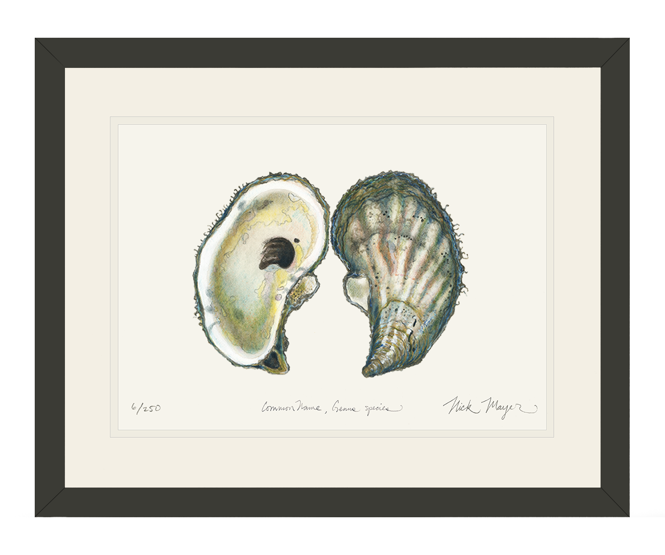 Atlantic Oyster I Limited Edition Print