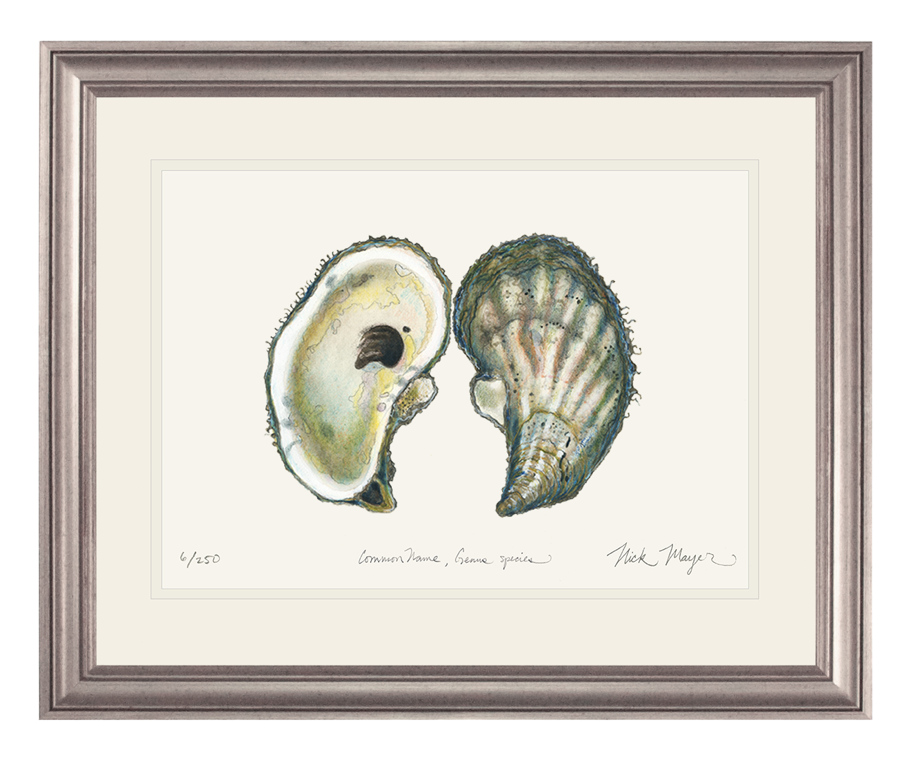 Atlantic Oyster I Limited Edition Print