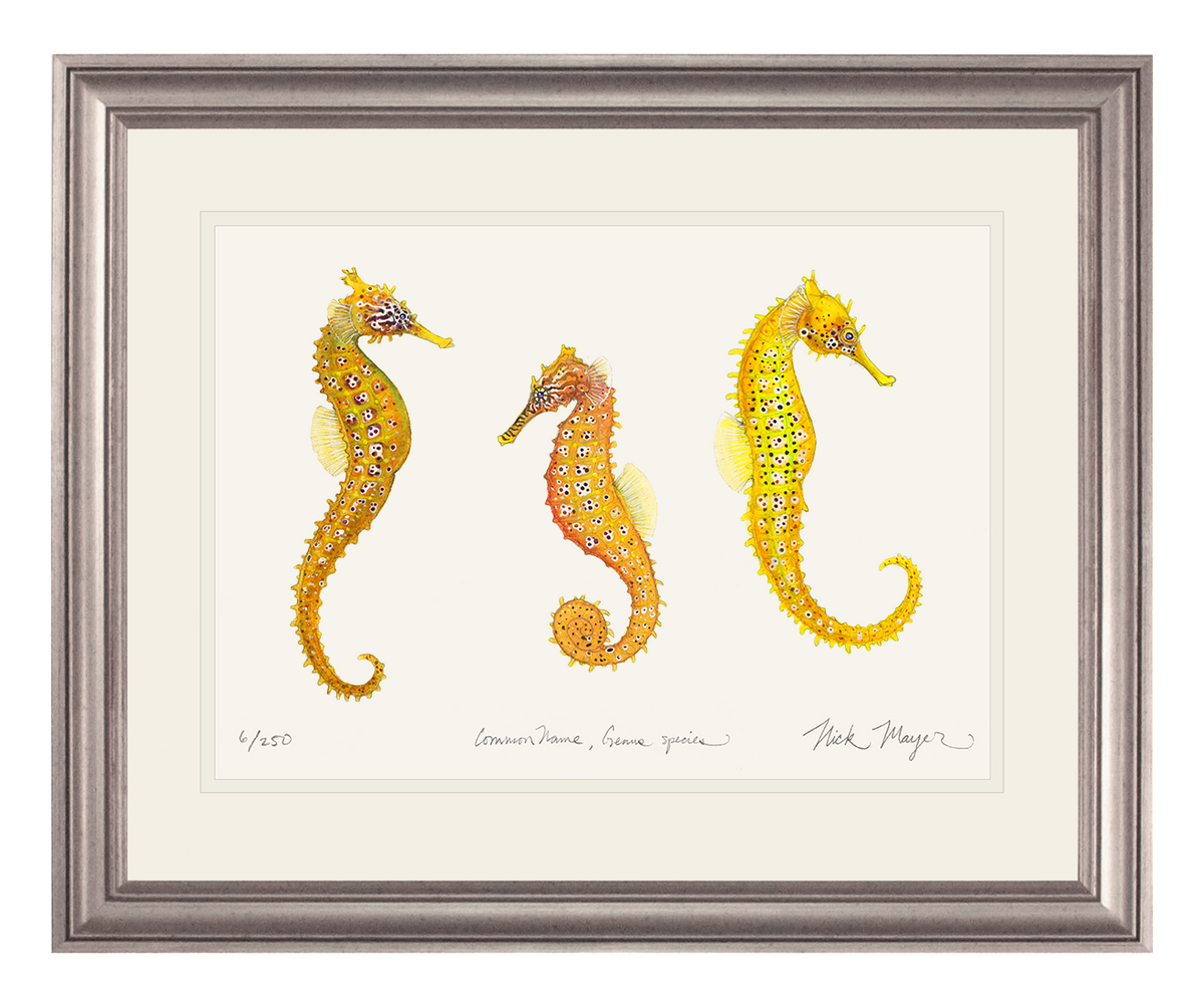 Giant Seahorse Trio Print