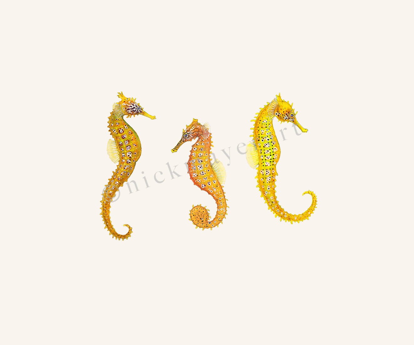 watermark