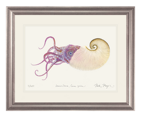 Paper Nautilus Print