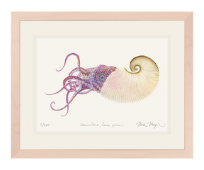Paper Nautilus Print