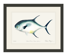 Atlantic Permit Print