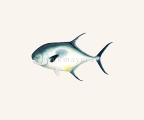 watermark