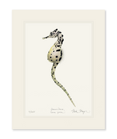 Pot Bellied Seahorse Print