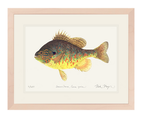 Pumpkinseed Print