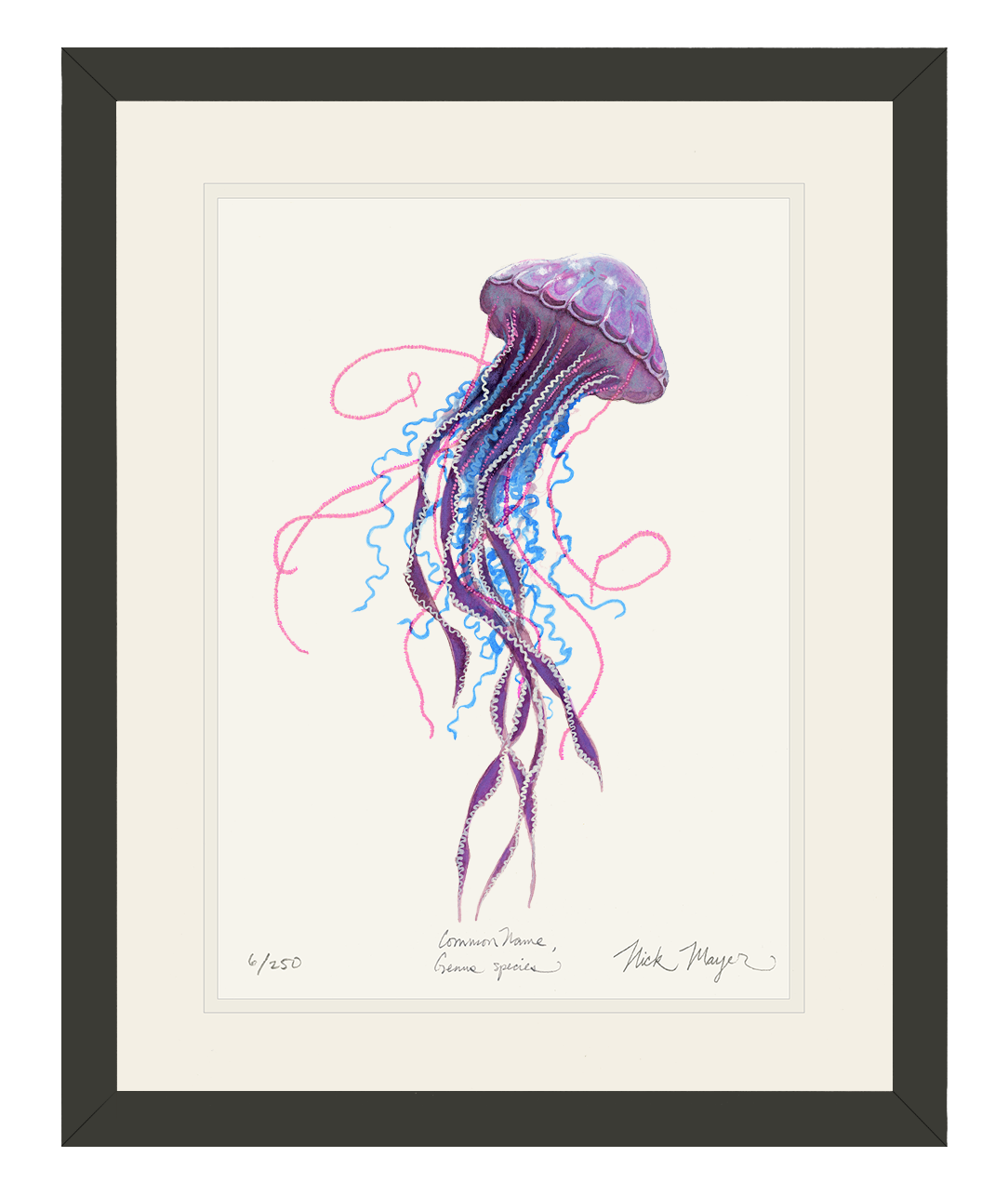 Purple Jellyfish II Limited Edition Print - Best Seller