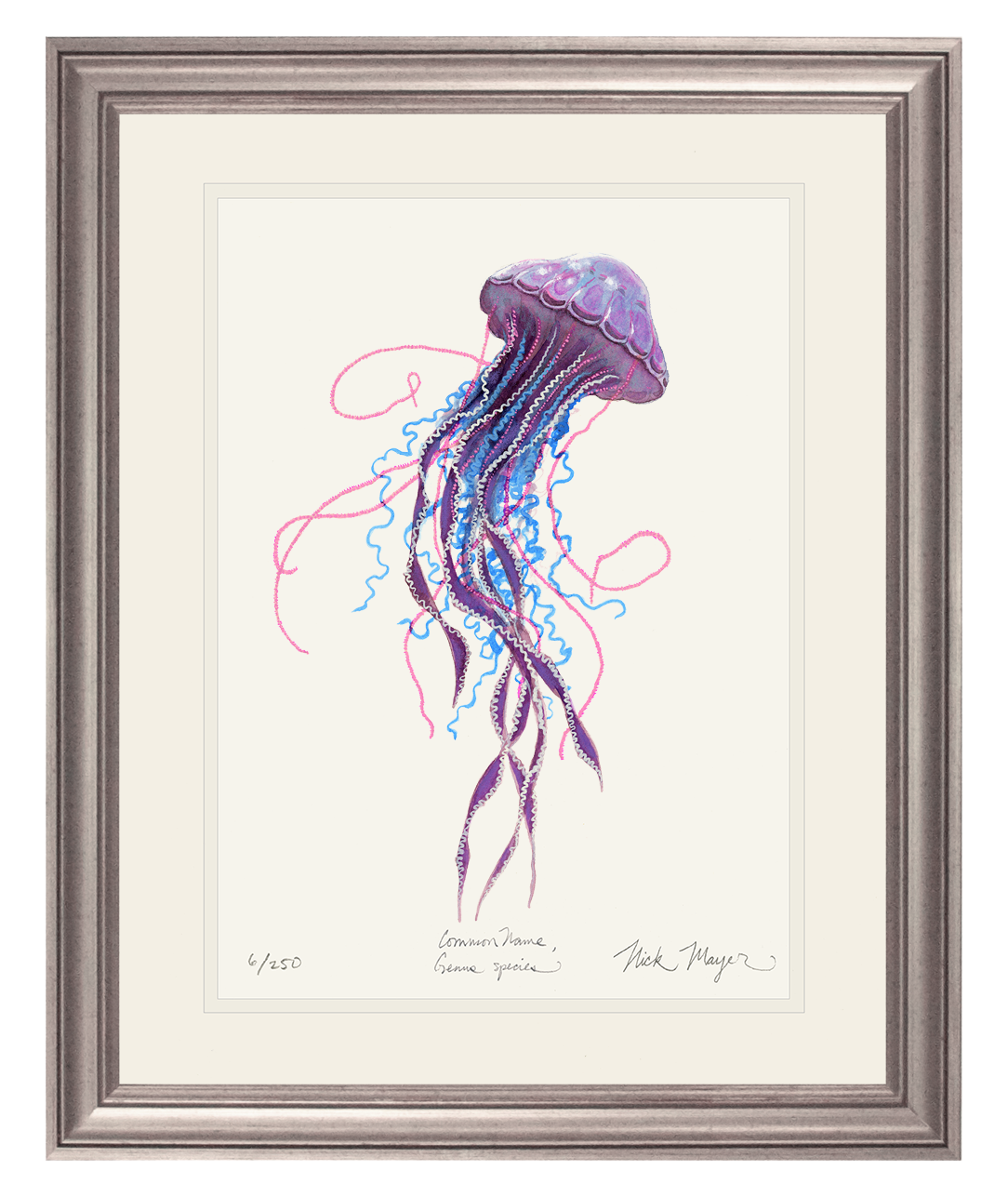 Purple Jellyfish II Limited Edition Print - Best Seller