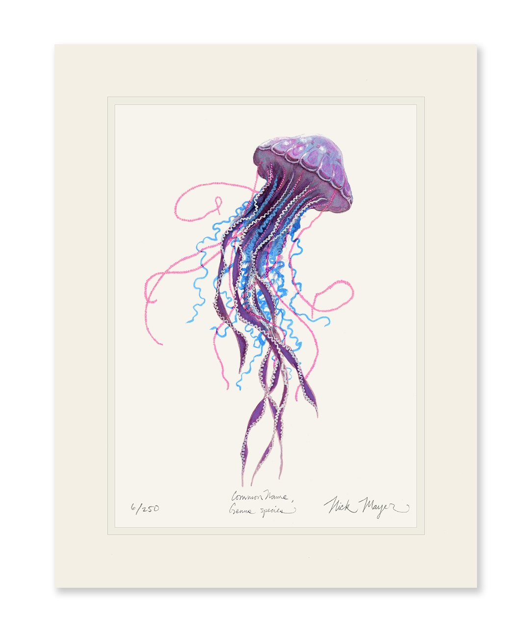 Purple Jellyfish II Limited Edition Print - Best Seller