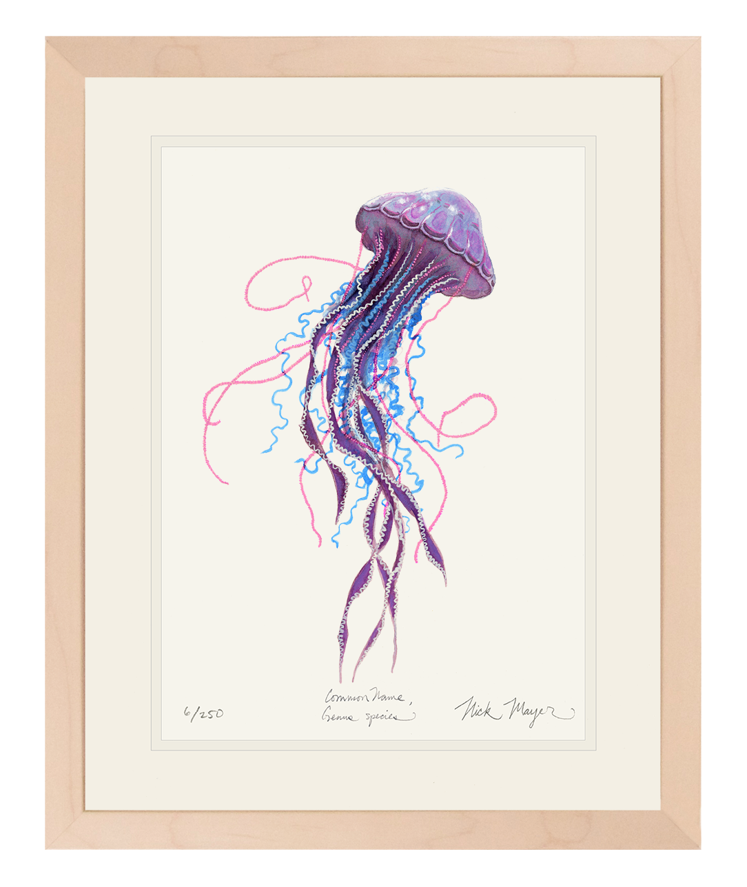 Purple Jellyfish II Limited Edition Print - Best Seller
