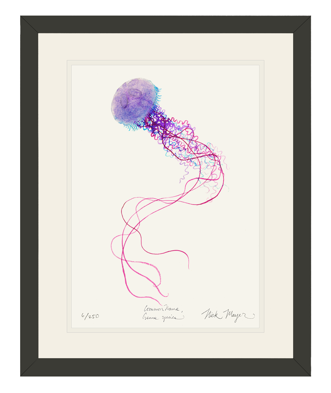 Purple Jellyfish I Limited Edition Print
