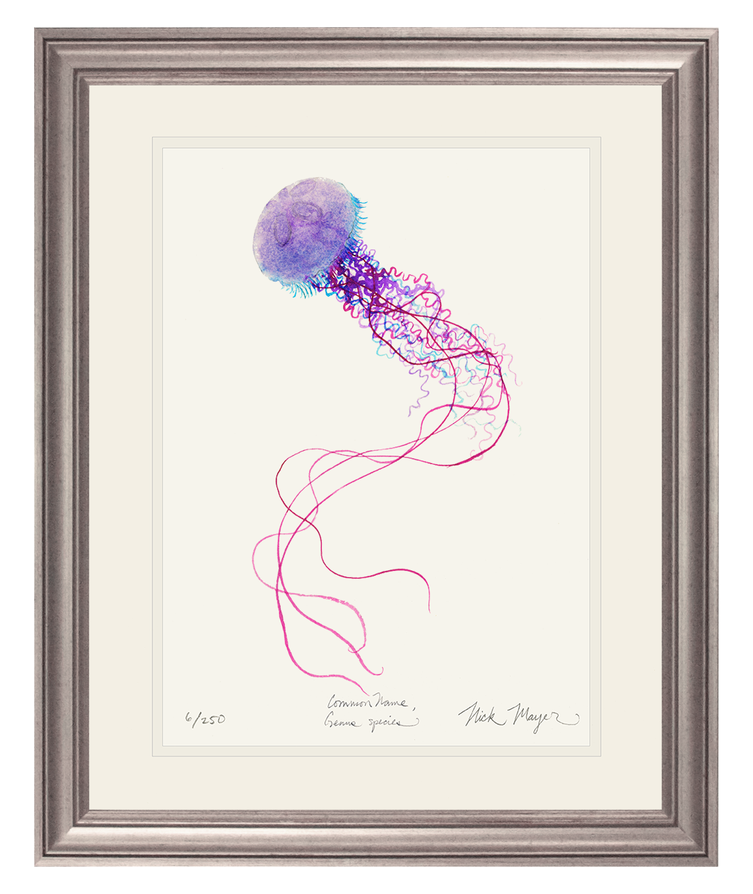 Purple Jellyfish I Limited Edition Print