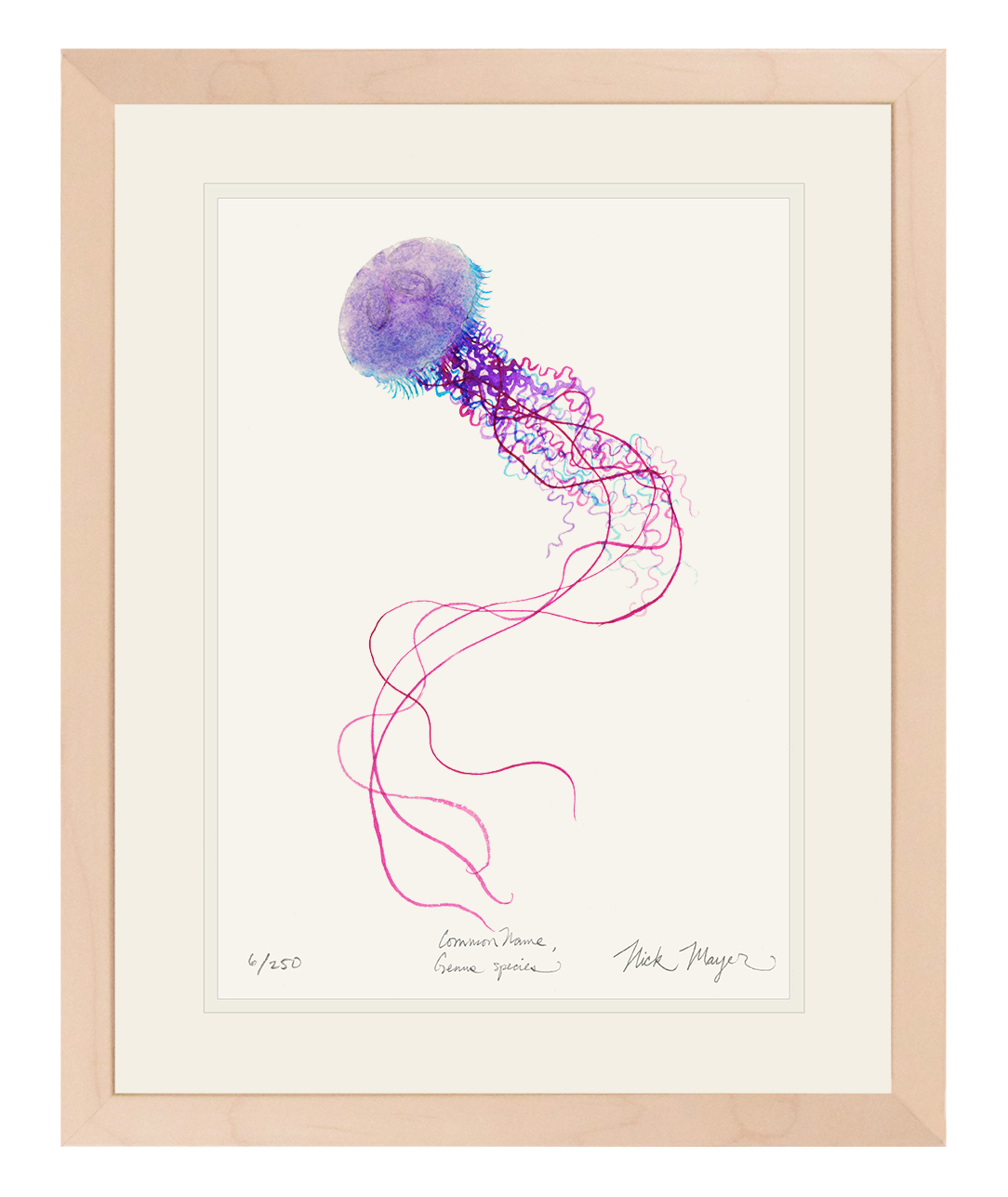 Purple Jellyfish I Limited Edition Print