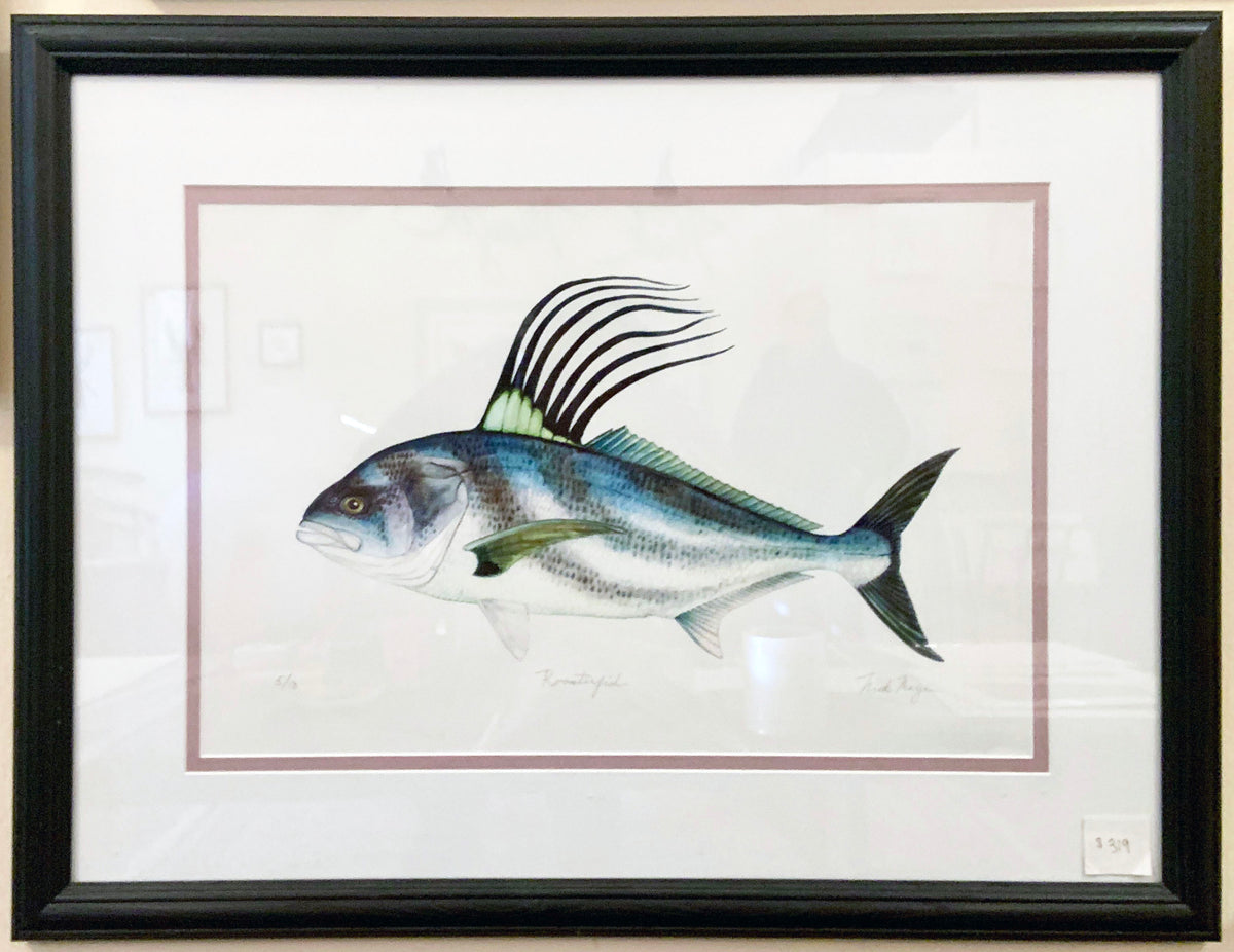Roosterfish, Large Framed Hand-Signed Print
