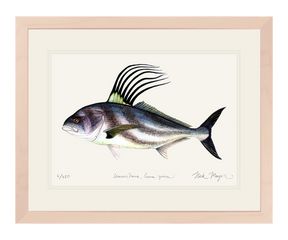 Roosterfish Print